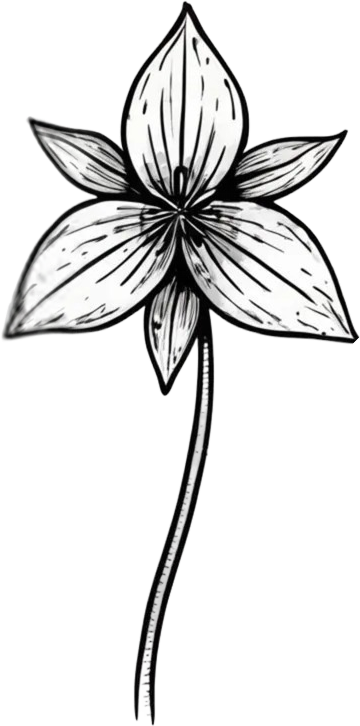 Five wildflower specimens