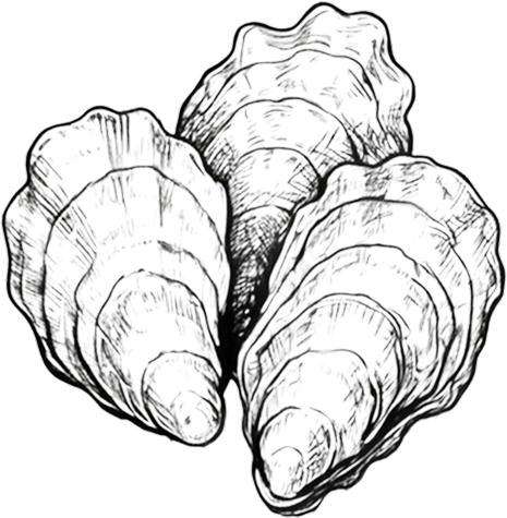 Humboldt Bay oyster