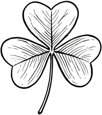 Redwood sorrel leaf