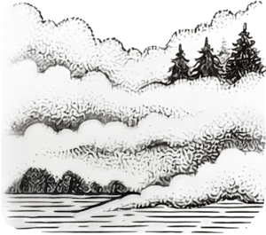 Patchy Fog then Mostly Cloudy