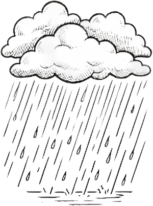 Chance Light Rain then Mostly Cloudy
